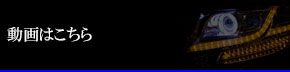 動画はこちら